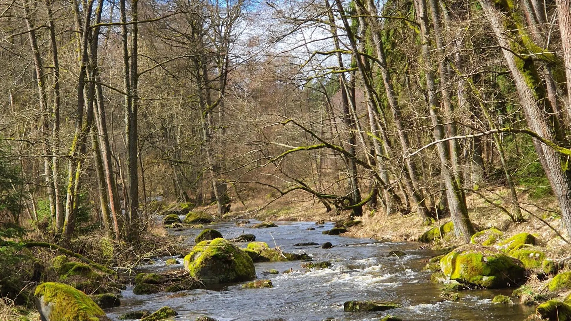 Ferienhaus Rosengarten Villa Selb 0*,
